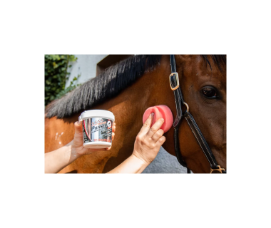 Repelente Insectos LEOVET Power Phaser Durativ Gel