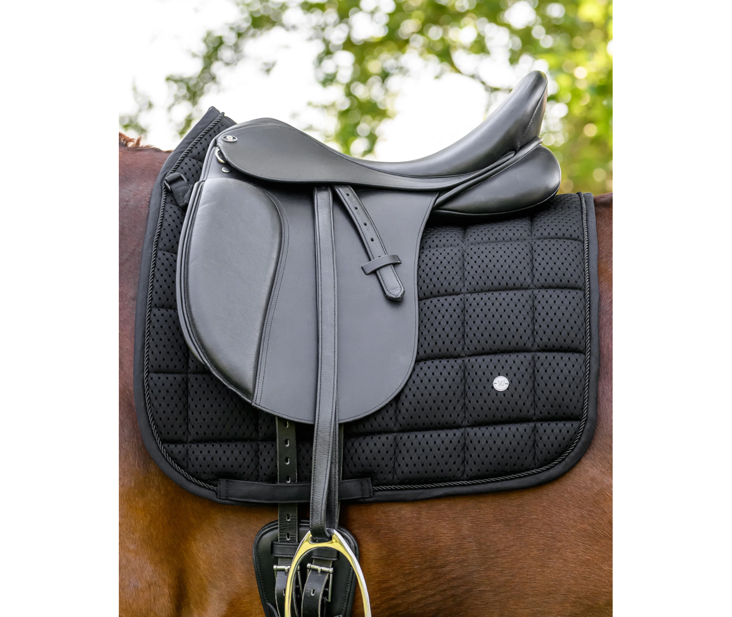 Mantilla Breath Performance