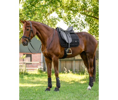 Mantilla Breath Performance