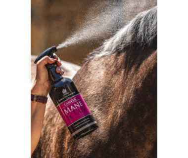 Carr & Day & Martin Pack Grooming DUO TIN