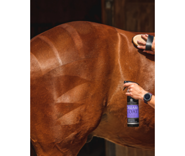 Carr & Day & Martin Pack Grooming DUO TIN