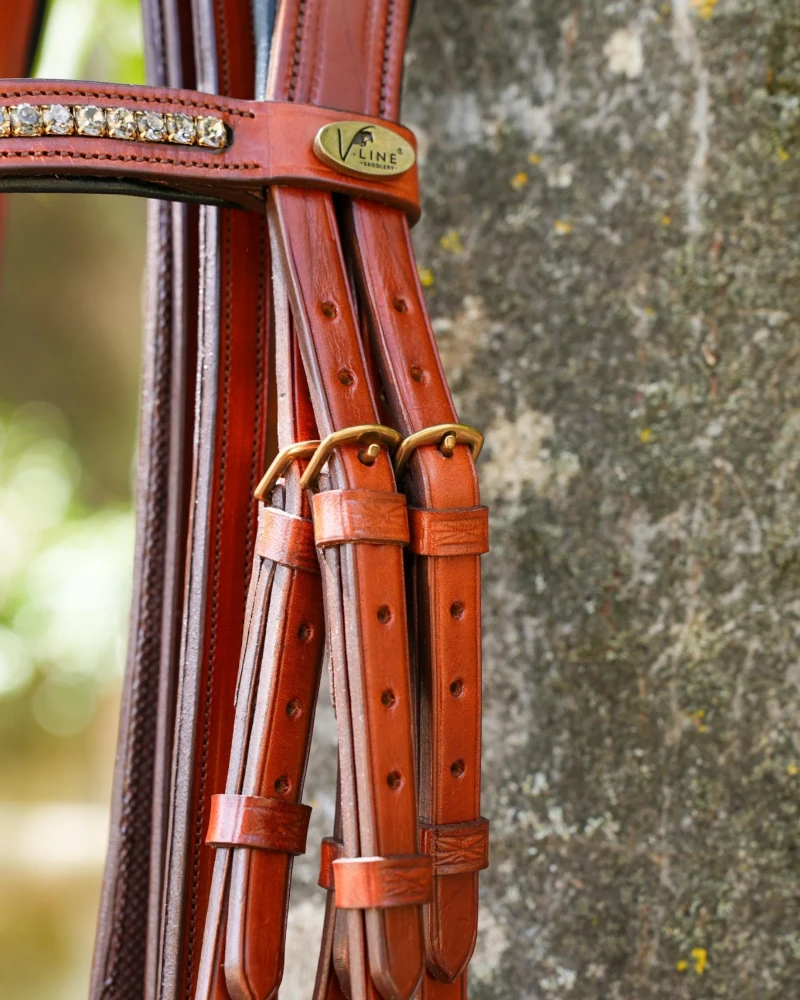 Cabezada Inglesa Anatómica V-LINE SADDLERY