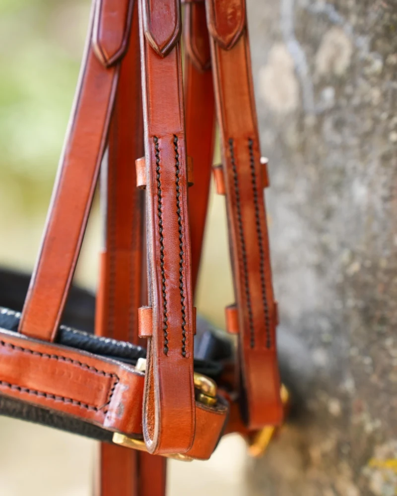 Cabezada Inglesa Anatómica V-LINE SADDLERY