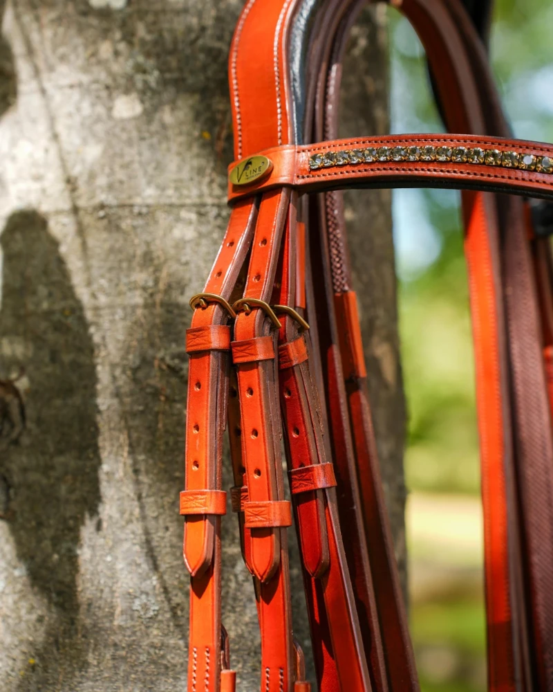 Cabezada Inglesa Anatómica V-LINE SADDLERY