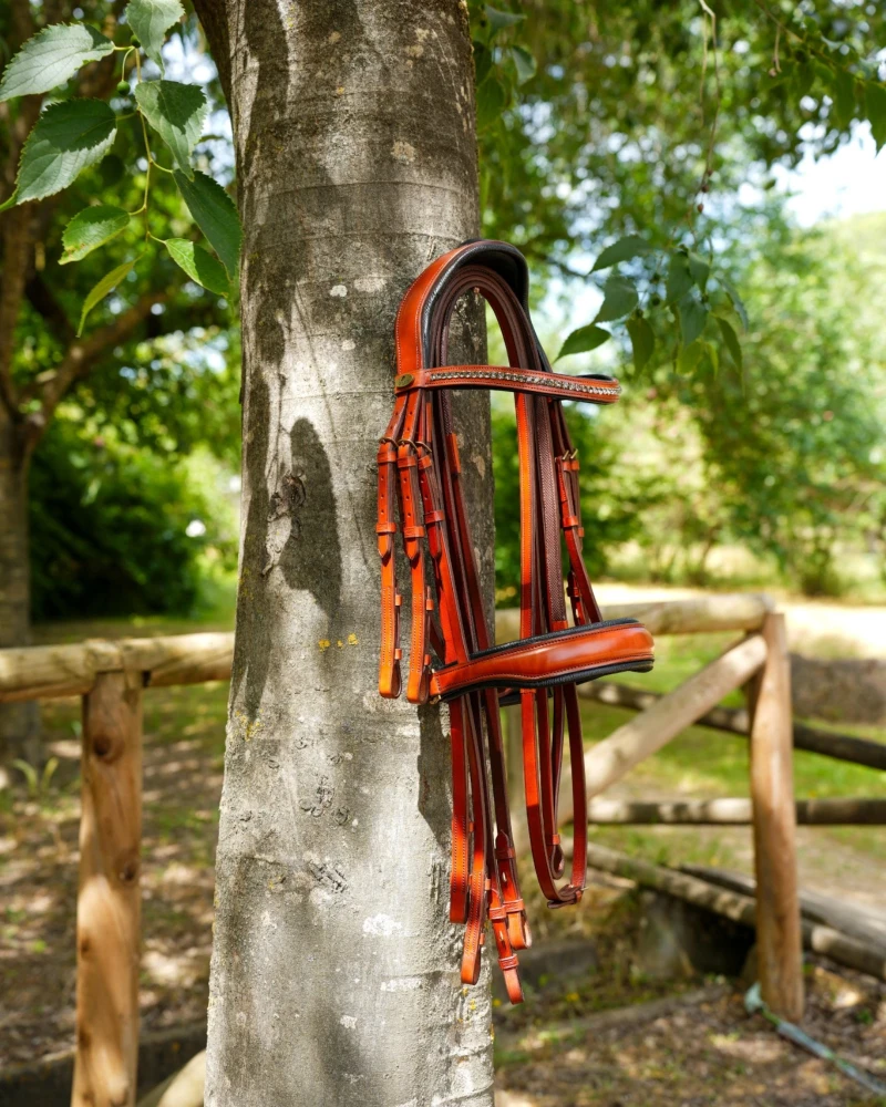 Cabezada Inglesa Anatómica V-LINE SADDLERY