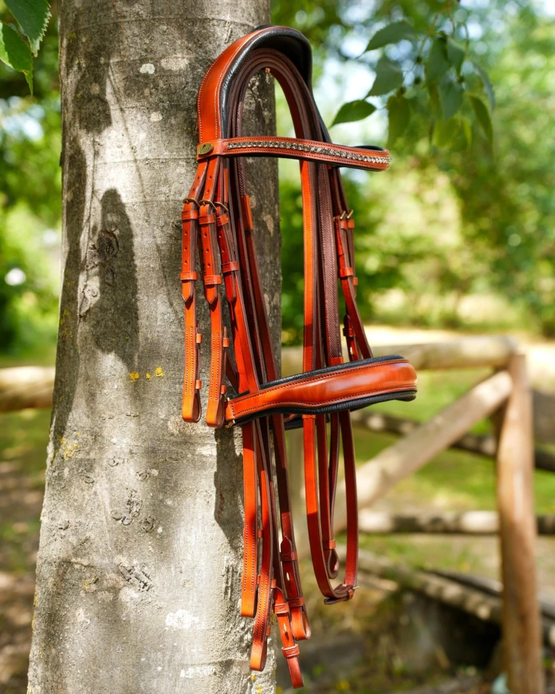 Cabezada Inglesa Anatómica V-LINE SADDLERY