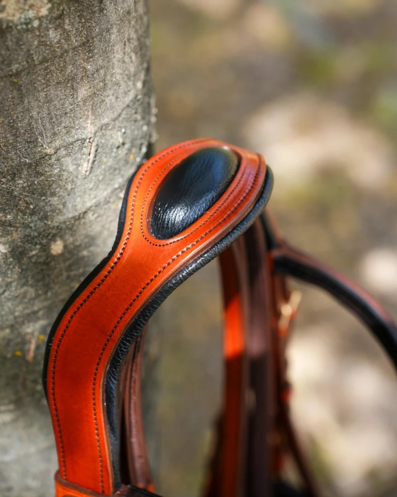 Cabezada Inglesa Anatómica V-LINE SADDLERY