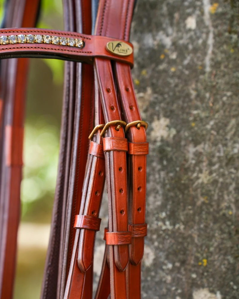 Cabezada Inglesa Anatómica V-LINE SADDLERY