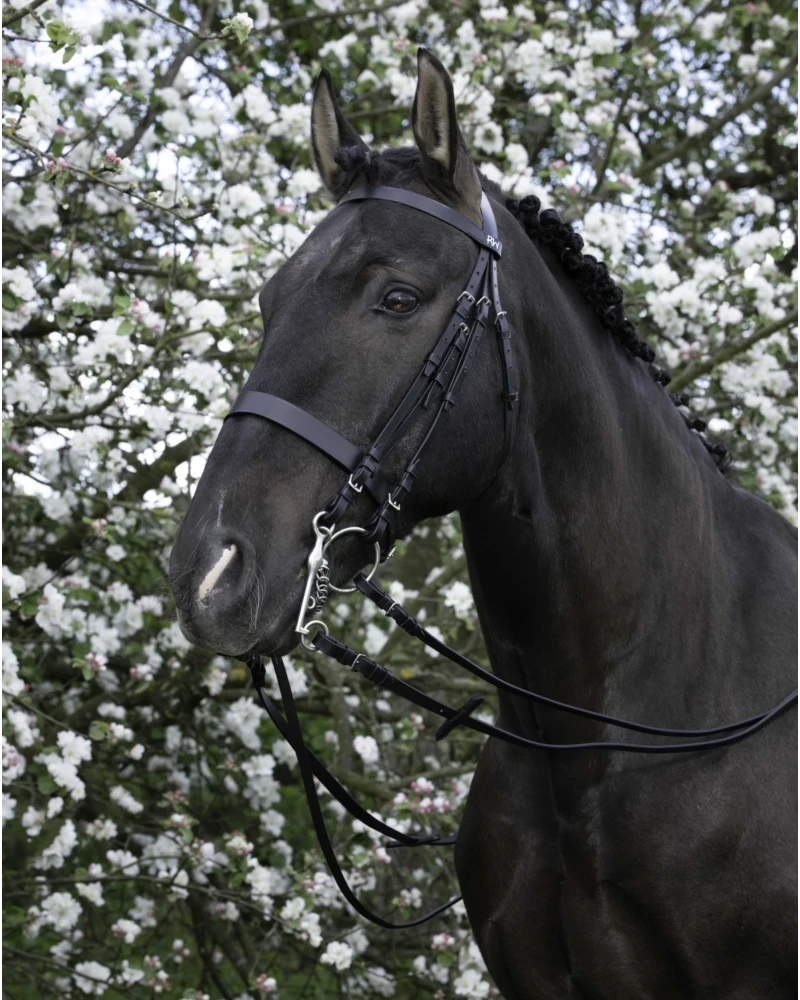 Brida RIDING WORLD