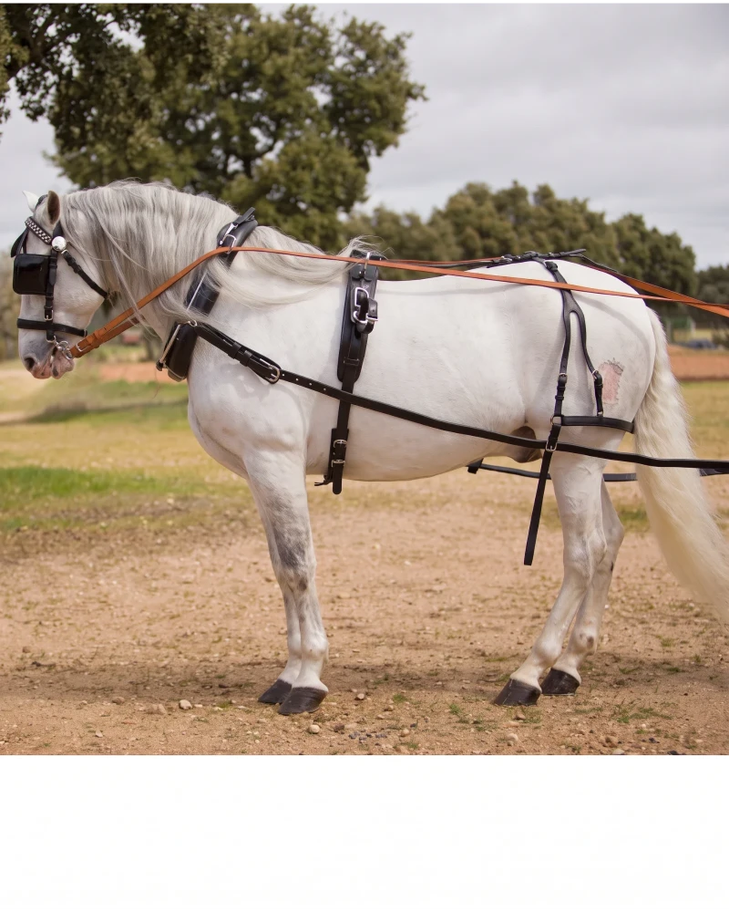 ENGANCHE HH KEIFFER COLLARIN SENCILLO