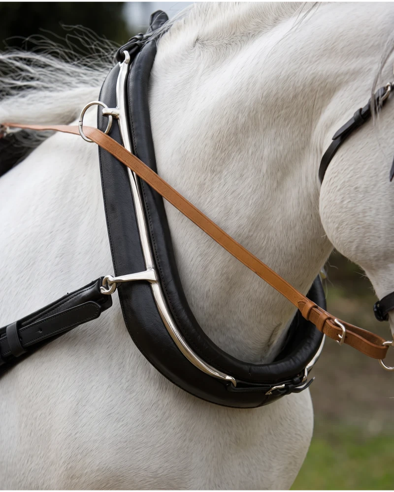 COLLARIN ENGANCHE HH