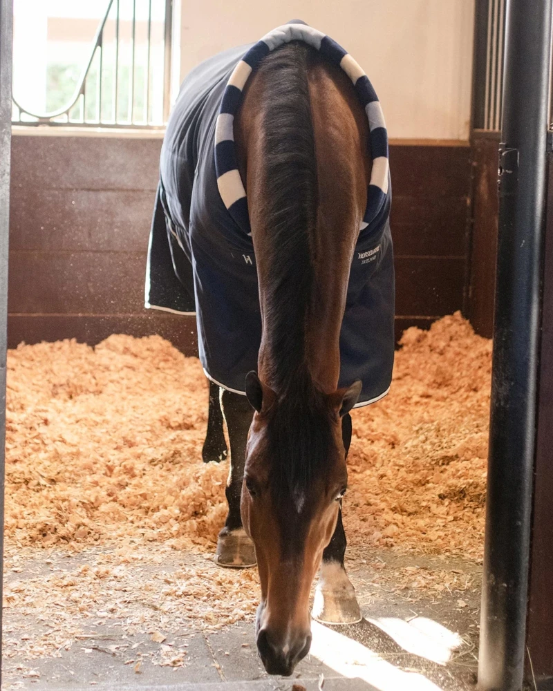 MANTA HORSEWARE NEWMARKET COSY CUADRA MEDIUM (200g)