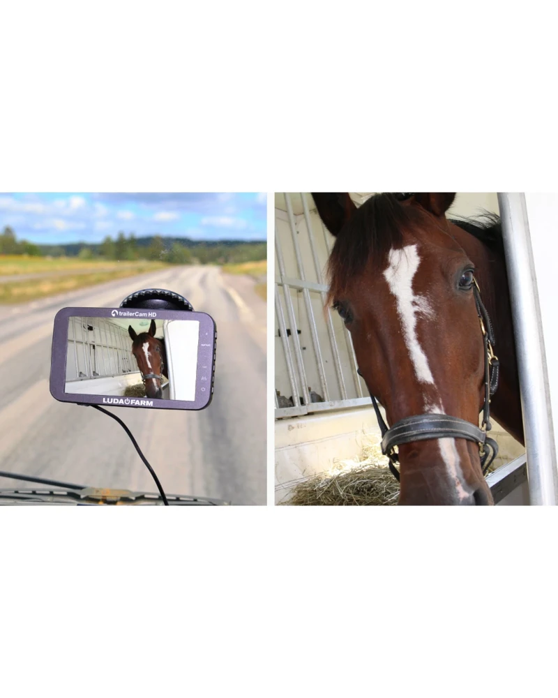 TrailerCam HD | Cámara para Remolque de Caballos